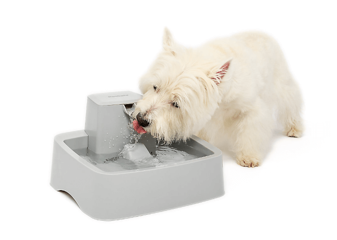 useful pet products - Petsmart drinking fountain